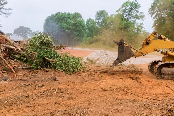 Ground Clearing in Monroe