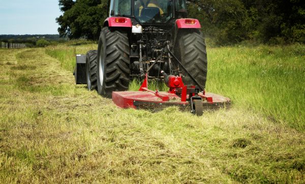 Brush Clearing Service in Monroe