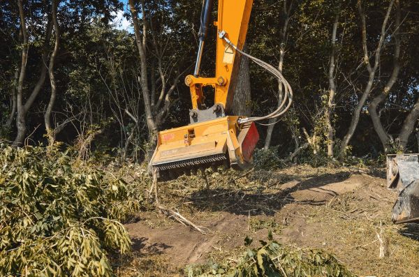 Brush Removal Service in Monroe