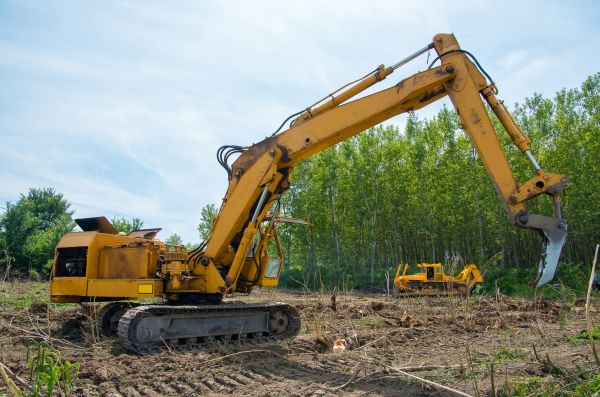 Farm Clearing in Monroe