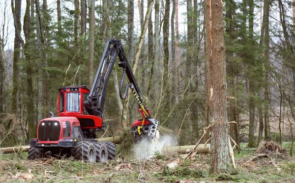 Forest Clearance Service in Monroe