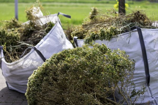Cost of Bushes Clearing in Monroe