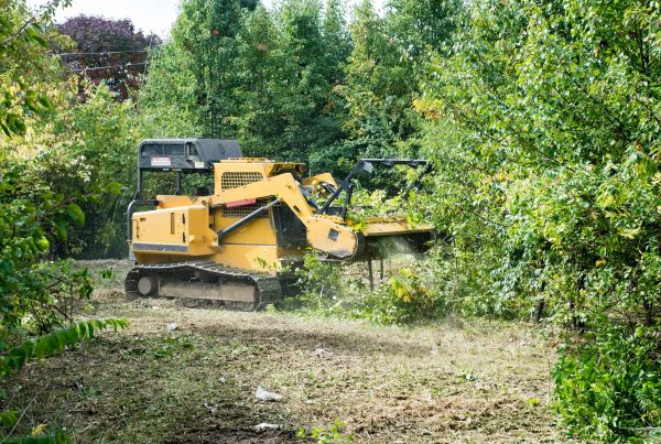 Pathway Clearing in Monroe
