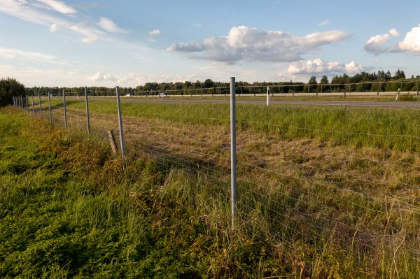 Property Line Clearing in Monroe