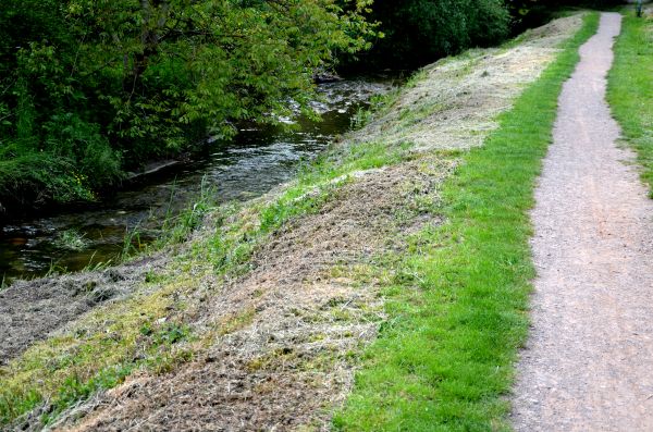 Trail Cutting in Monroe